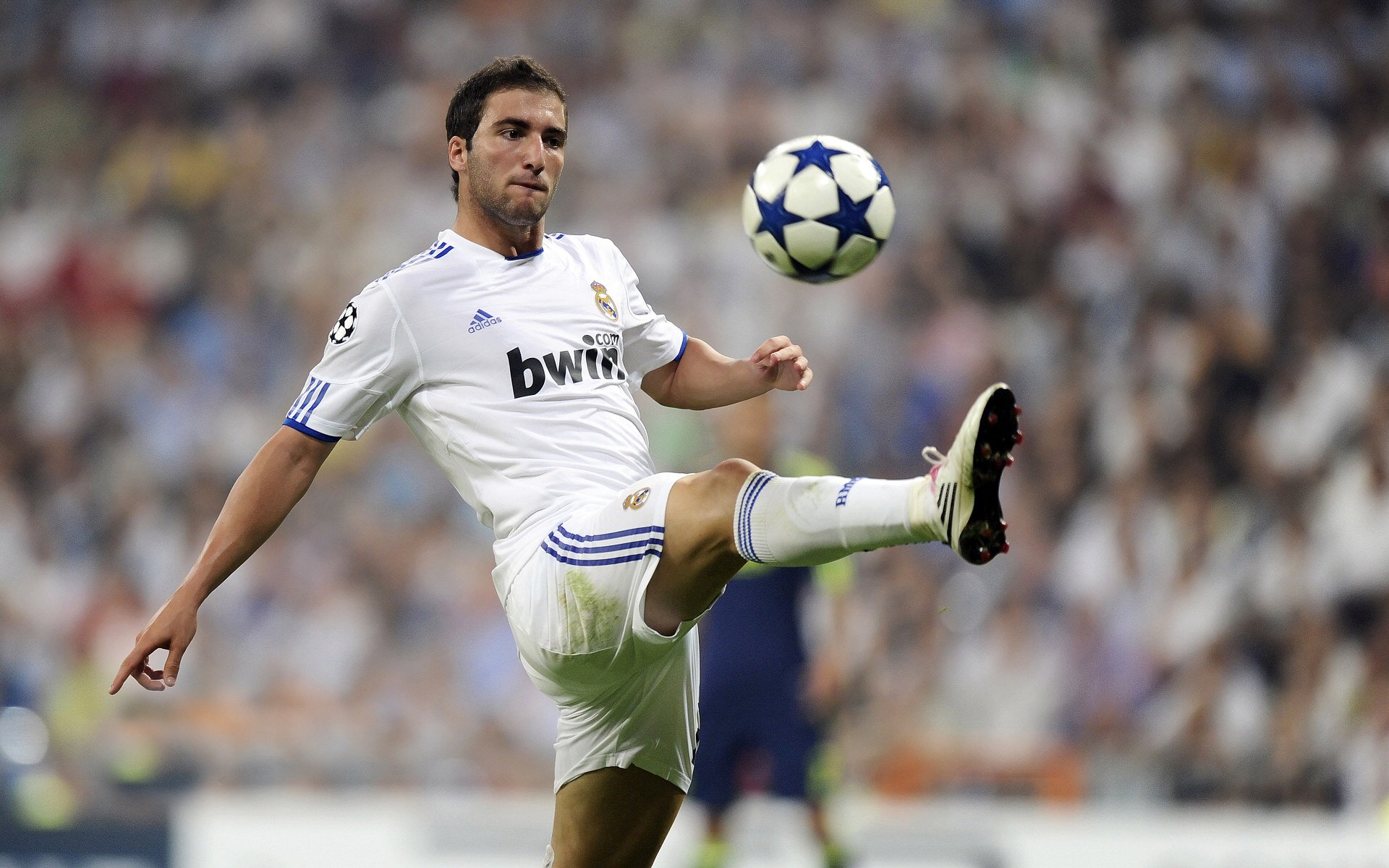 赛场观众行为监控系统试运行,规范观赛秩序,观看比赛时场内禁止什么